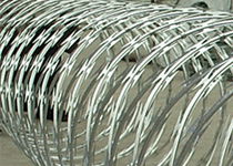 punctures the rope gill-net safety net  3