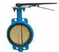 Butterfly Valve 1