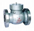 Swing Check Valve