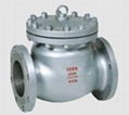 Swing Check Valve，Check Valve 1