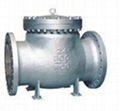 Swing Check Valve