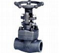 Forged Steel Gate Valve