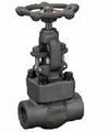 Forged Steel Gate Valve  2