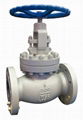 Globe Valve, Valves, Bellows Globe Valve 4