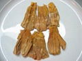 Dried Bamboo shoots 1