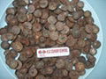 Dried betel nuts 3