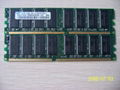 long-dimm 1