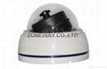 Indoor HD Dome 1.3 Megapixel IP Cameras with 180 Degrees Wide Angle 3