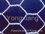 Hexagonal Wire Mesh/wire netting/china barbed wire/galvanized iron wire/cut wire 3