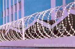 Razor Barbed Wire/wire shelvings/wire mesh supplier/wire mesh manufacturer/wire  3