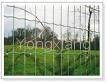 Metal Euro Fencing/galvanized iron wire/ductile iron pipe/galvanized wire 4
