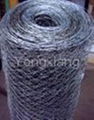 Hexagonal Wire Mesh/wire netting/china barbed wire/galvanized iron wire/cut wire 5
