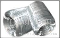 Cold Drawing Wire/drawn wire/iron wire/metal wire/wire mesh 4