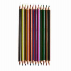 Painted colour pencils