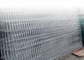 welded wire mesh  3