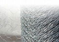 hexagonal wire netting 