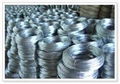 Galvanized Iron Wire