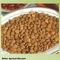 BITTER APRICOT KERNEL 5