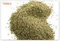 CELERY SEED