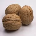 WALNUT KERNEL