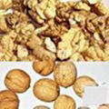 WALNUT KERNEL 4