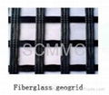 geogrid