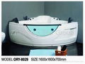 massage bathtub 4