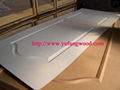 HDF molding door 1