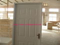 HDF molding door 2