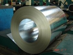 Galvanized steel Coils