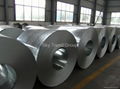 Galvanized steel Coils 2