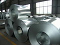 Galvanized steel Coils 3