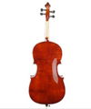 Violin GCT103  1