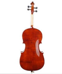 Violin GCT103