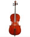 Violin GCT103  2