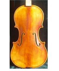 Violin HV-01 