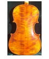 Violin HV-01  2