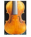 Violin HV-01  4