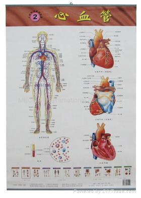 medical charts