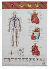 medical charts