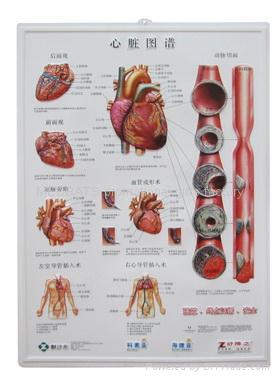 medical charts 3