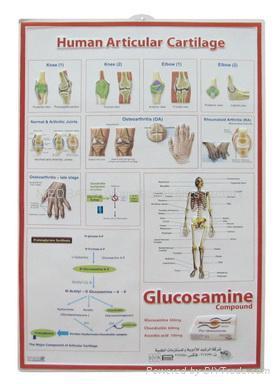 medical charts 4