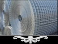 Galvanized Iron Wire Mesh  1