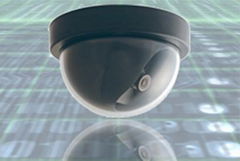 High Resolution Plastic Dome Camera