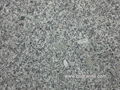 grey granite 1