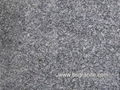 grey granite 2