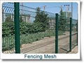 Wire Mesh Fence