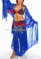 belly dance set