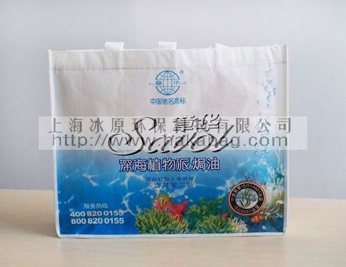 shopping hand reusable recyclable bag