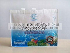 shopping hand reusable recyclable bag